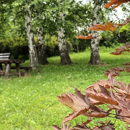 Rubi * 소코 반자