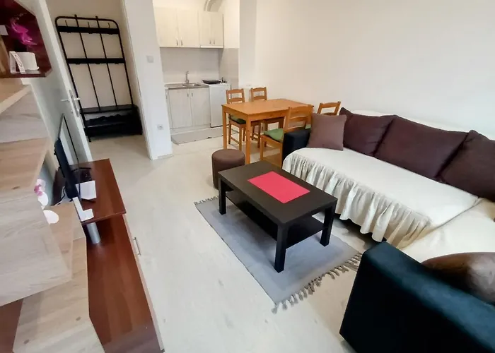 公寓 Rubi 索科矿泉村